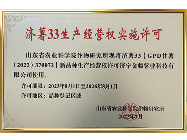 濟薯33生產經營權實施許可